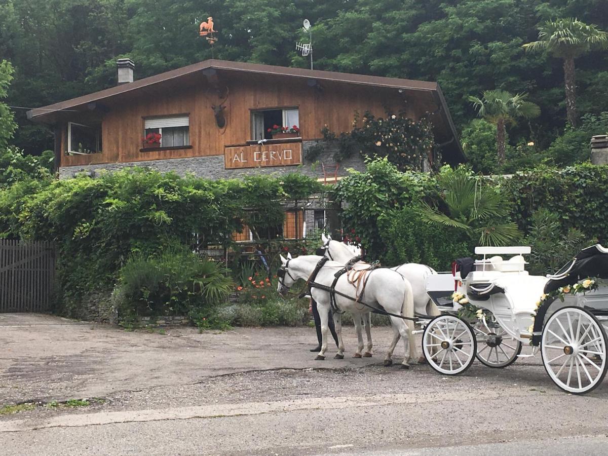 Al Cervo Tra I Laghi Bed & Breakfast Tavernerio Exterior photo